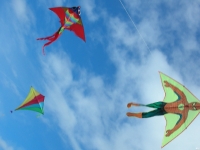 20080831