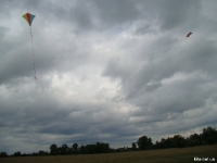 20090614