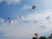 2009.07.05 Новоселки